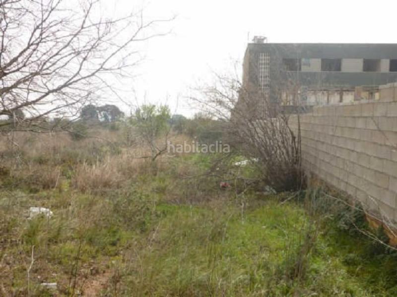 Foto 21cc8e2f-050e-4a18-a268-74bbbdf13451. Finca rústica a Llevant Reus