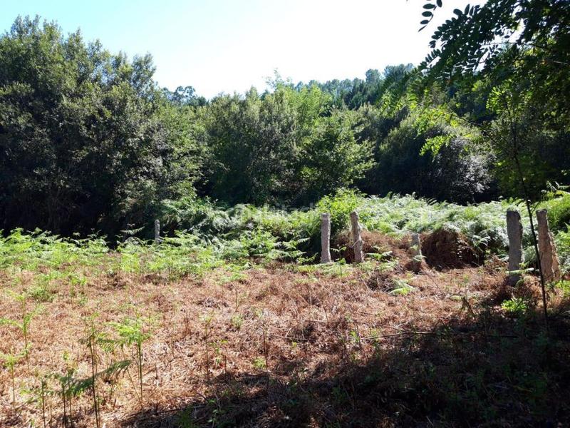 Foto 0ac2d191-686d-426c-afd8-3bae85ddb81d. Finca rústica solvia inmobiliaria suelo urbanizable porriño o en Porriño (O)