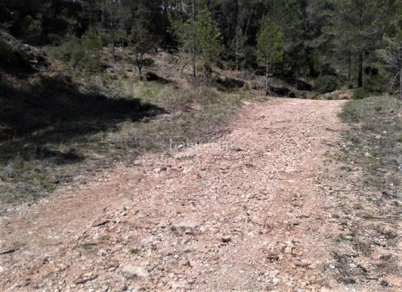 Foto 2aaa9392-57d0-4133-a5fb-234aa6ba2a91. Finca rústica solvia inmobiliaria suelo urbanizable en Pontons