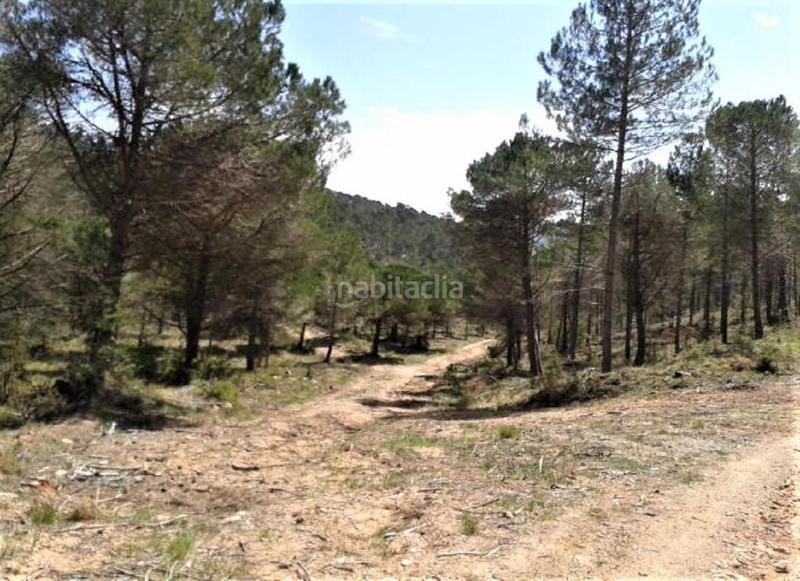 Foto 7cc06320-a3b7-4761-8707-ff229d8aabfa. Finca rústica solvia inmobiliaria suelo urbanizable en Pontons