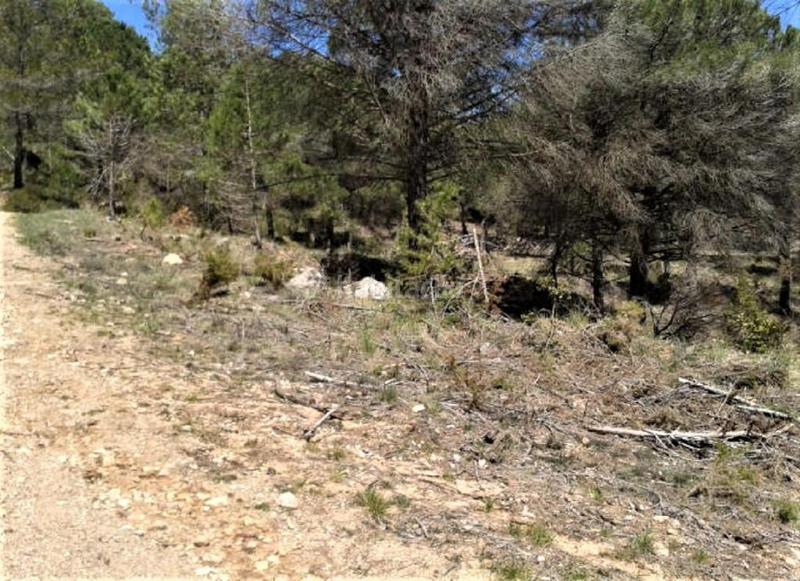 Foto bce42e8c-6fce-4a9d-a44b-fec67a84c7b3. Finca rústica solvia inmobiliaria suelo urbanizable en Pontons