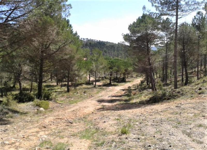 Foto cb09dfa5-6028-4af3-92ea-78e1296b0cec. Finca rústica solvia inmobiliaria suelo urbanizable en Pontons