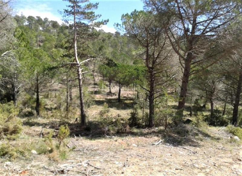 Foto d24c085d-0799-495a-8edf-ff105d4e30ef. Finca rústica solvia inmobiliaria suelo urbanizable en Pontons