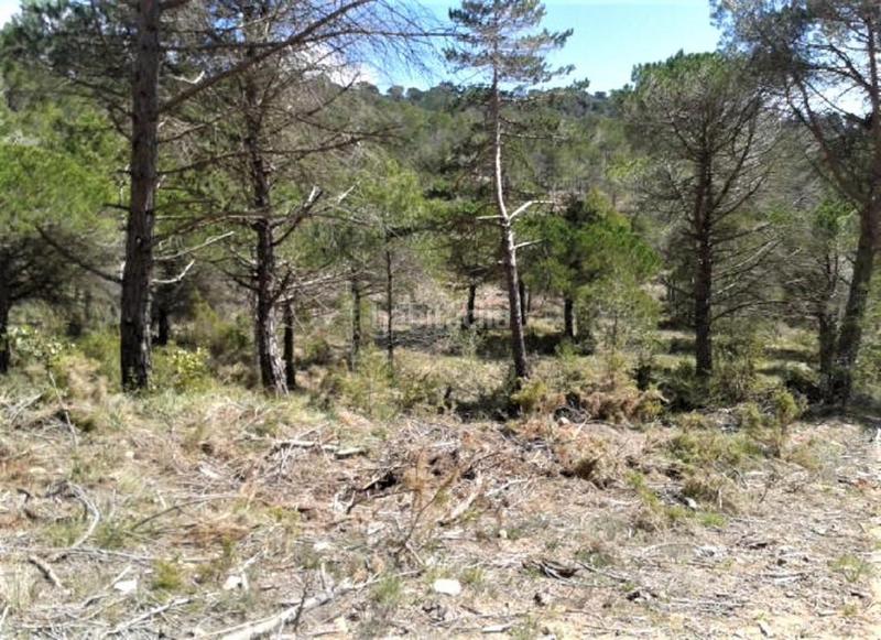 Foto d3a486ed-f3d2-48a3-a90c-91e967a10ee5. Finca rústica solvia inmobiliaria suelo urbanizable en Pontons