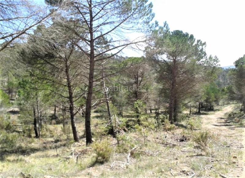 Foto f2fd4f88-201f-4634-a365-1c834fff3109. Finca rústica solvia inmobiliaria suelo urbanizable en Pontons