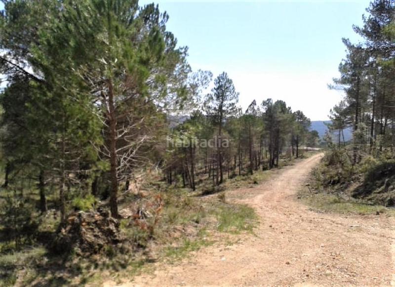 Foto fbafc8ba-3ddb-4e55-a3a1-6362061caaf5. Finca rústica solvia inmobiliaria suelo urbanizable en Pontons