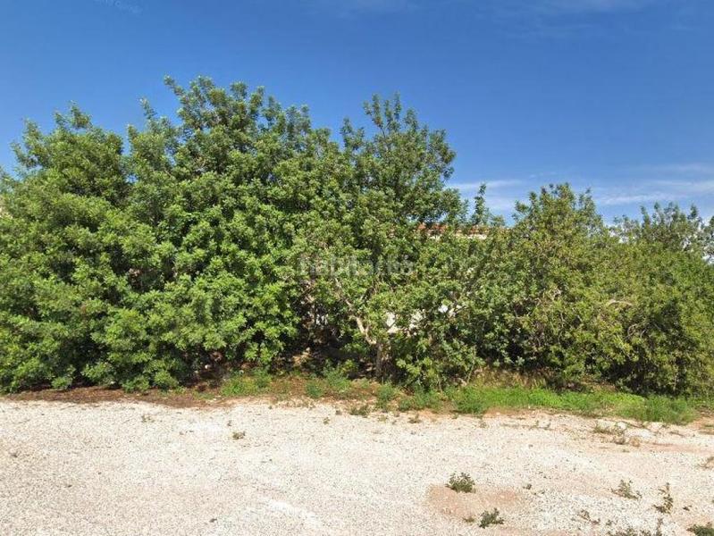 Foto 3a5b09a4-e0e0-45ea-9fd2-660565494cbc. Finca rústica solvia inmobiliaria suelo urbanizable en Torredembarra