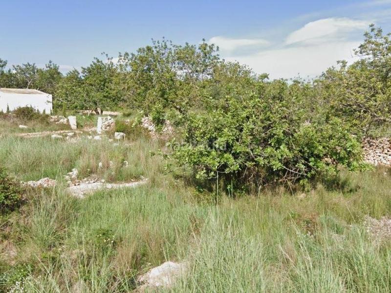 Foto 8f234422-9b82-44c6-863d-9da71b0dd66d. Finca rústica solvia inmobiliaria suelo urbanizable en Torredembarra