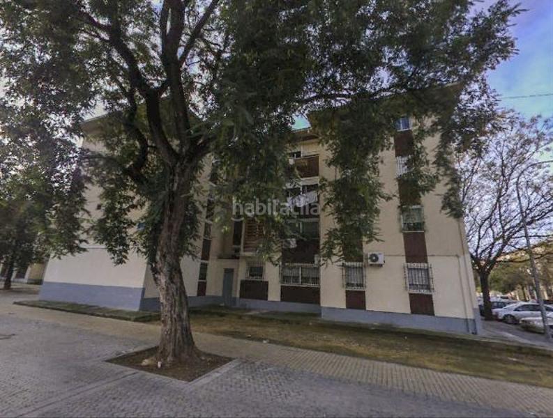 Foto 8225fa18-c69d-490c-8e91-a255250278a8. Pis a La Oliva Sevilla