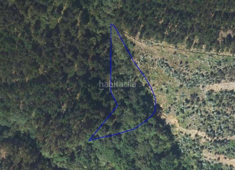 Foto 78a929f3-106c-4d74-8974-5caaaaea85ec. Finca rústica a Piloña