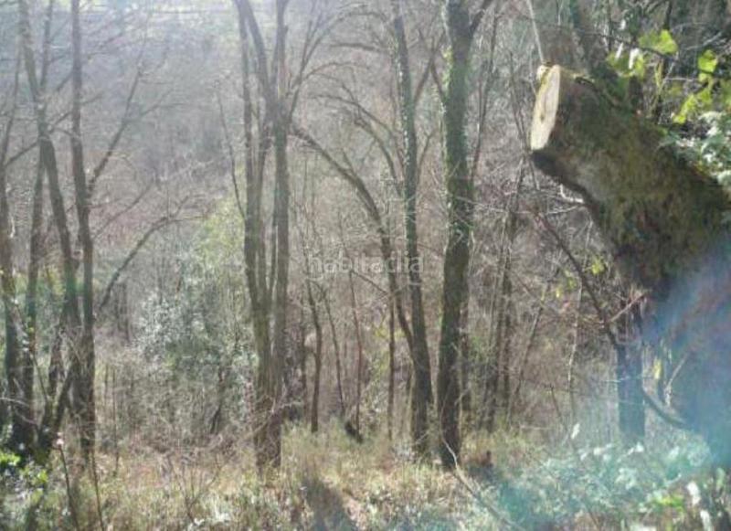 Foto 7a457f78-d31b-4ecf-adfd-b7b843a60a9a. Finca rústica a Piloña