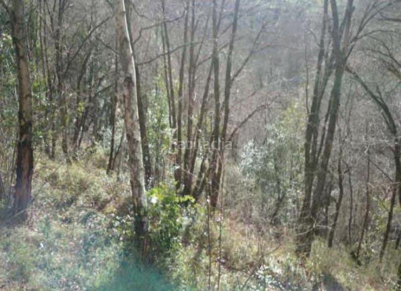 Foto a99dce50-3a80-49f7-9daa-a4a599a48440. Finca rústica a Piloña