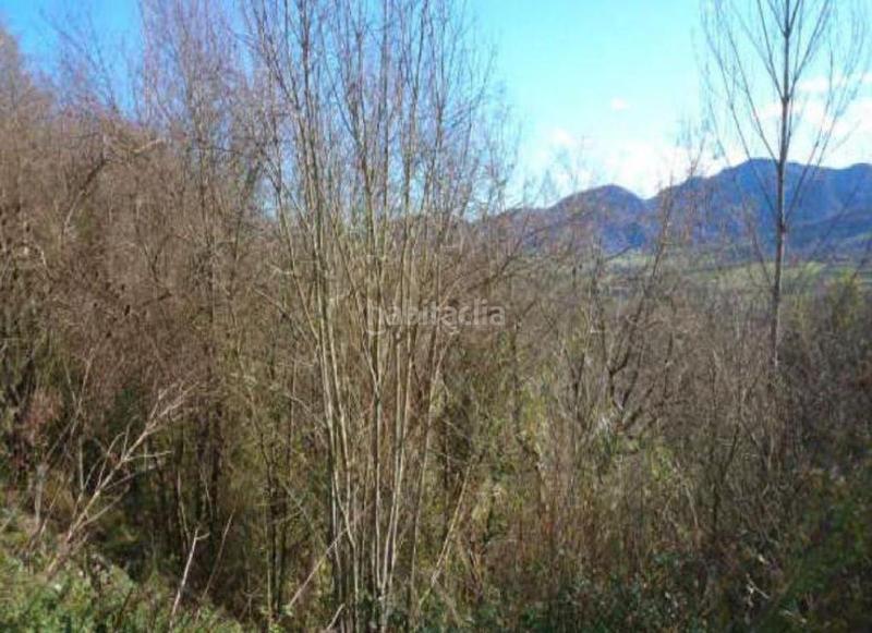 Foto ccac6f58-7068-4f76-9fbb-7d9696223f99. Finca rústica a Piloña