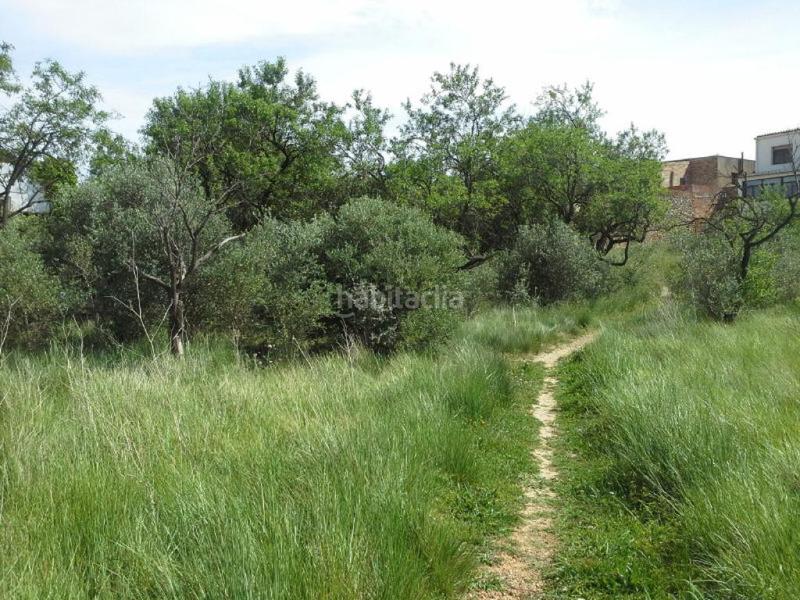 Foto 898991b8-e0fc-4be9-bd11-7b33da76aa66. Propriété dans Sénia (La)