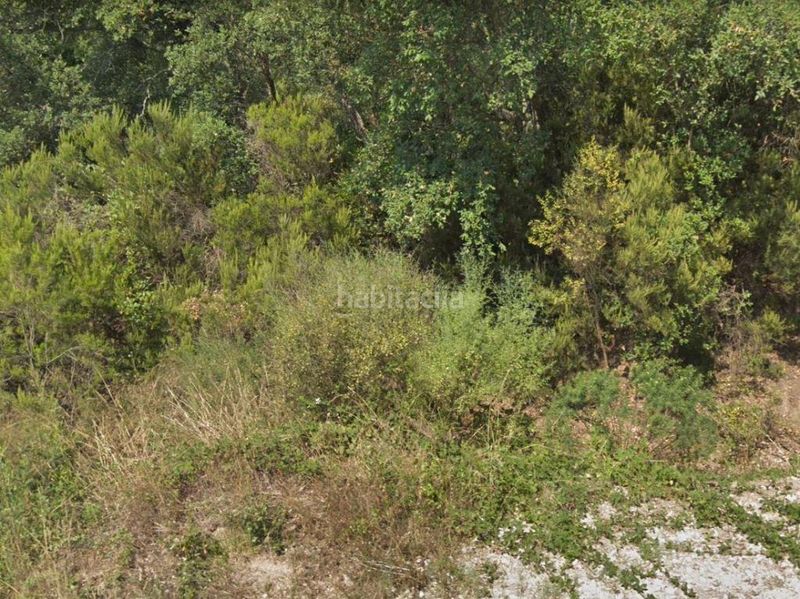 Foto a3b8632f-4965-4c01-bbcc-23c74240feaa. Finca rústica a Urbanitzacions del Nord Santa Cristina d´Aro