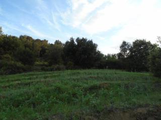 Propriété  Llevant. Solvia inmobiliaria  suelo urbanizable garriga la