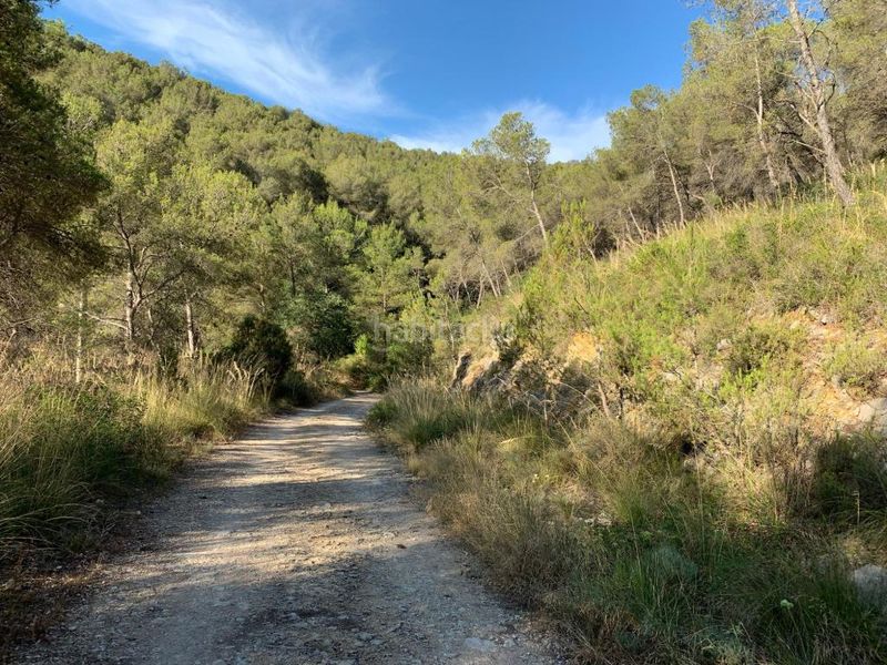 Foto 17a15a8e-75b3-4d4d-99ab-d080ef6e8679. Finca rústica a Olivella