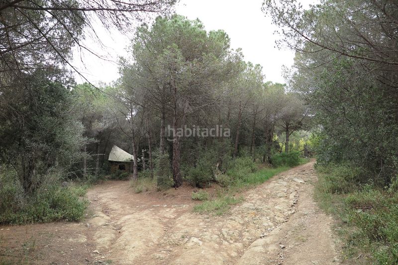 Foto 20bbd078-1237-4a99-9938-7c72f5eea236. Finca rústica a Can Violí - Can Poi del Bosc Garriga (La)