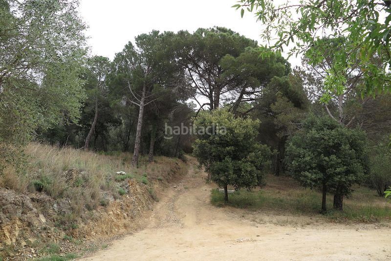 Foto 414a516f-1ced-4d7f-b9ce-a71faf9347cf. Finca rústica a Can Violí - Can Poi del Bosc Garriga (La)