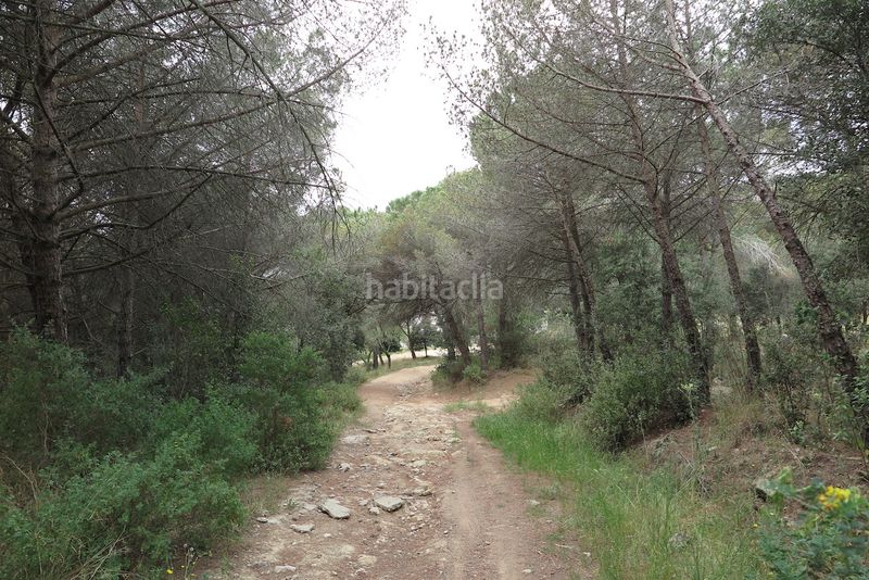 Foto df70c711-8d0c-4886-a546-777574199d49. Finca rústica a Can Violí - Can Poi del Bosc Garriga (La)