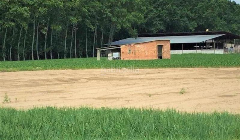 Foto 7b04aeb6-b04b-41df-a496-5f67836c1ca5. Finca rústica solvia inmobiliaria suelo urbanizable en Bescanó