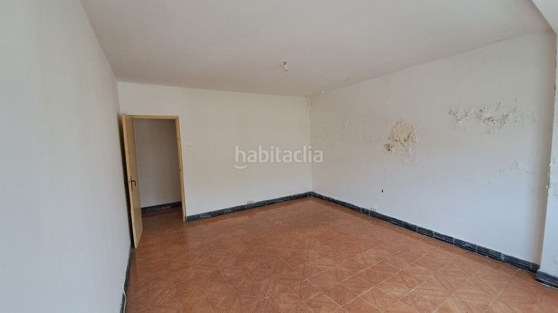 Foto 47f9a09d-f3eb-4019-b839-dd6c4041676f. Pis a Fene