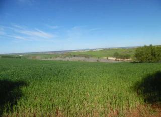 Rural plot  C/ sector urbanizable 3. Solvia inmobiliaria  suelo urbanizable tórtola de henares