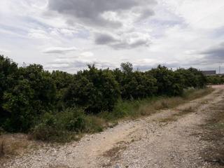 Finca rústica  Realengo. Solvia inmobiliaria  suelo rústico alberic
