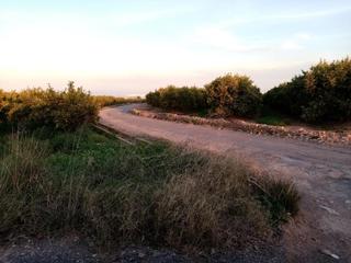 Propriété  4. Solvia inmobiliaria  suelo rústico vall duixó la