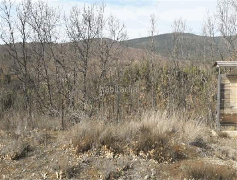 Foto 2afacfc0-54bc-4ea0-8e63-796de58c9020. Finca rústica a Royo (El)