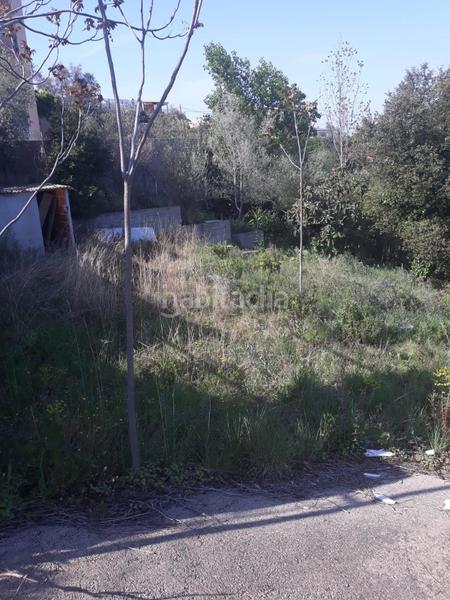 Foto 4fcd1224-a088-4be0-95fa-9209523ff548. Finca rústica a Niàgara Parc -Àgora Parc Tordera