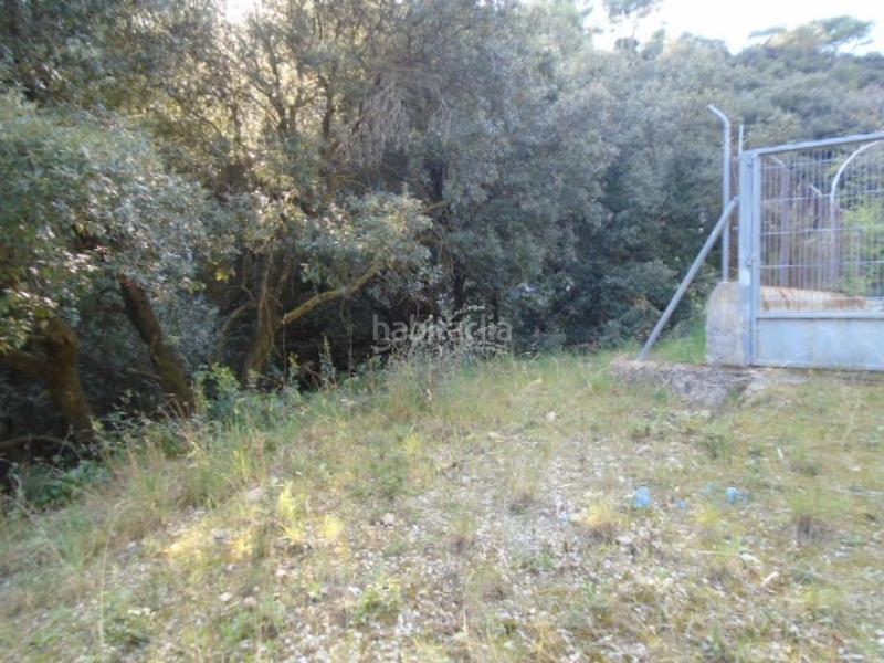 Foto 61c6b75c-8d8d-4e89-8833-1dac6f8d48f2. Finca rústica a Ametlla del Vallès (L´)