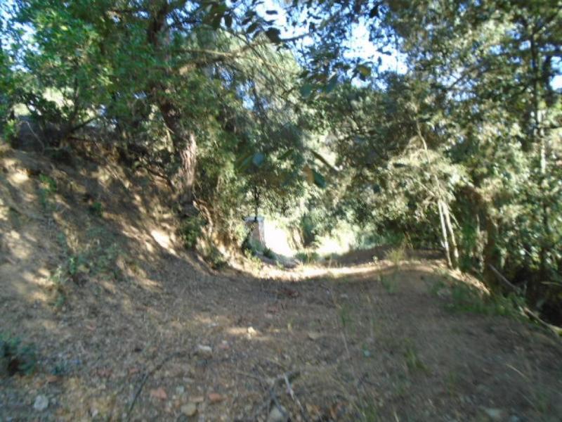 Foto 82edd0cb-ab54-471d-b0ca-f2ddda0853b3. Finca rústica a Ametlla del Vallès (L´)