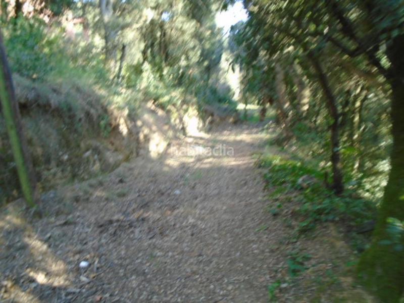 Foto 8329b883-08fc-43dc-8b89-fbef6ebe7eae. Finca rústica a Ametlla del Vallès (L´)