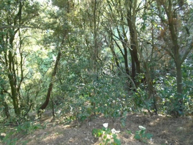 Foto 3af96c91-9309-49fc-b596-3d1ecd33f8a1. Finca rústica solvia inmobiliaria suelo urbano ametlla del vallès l en Ametlla del Vallès (L´)