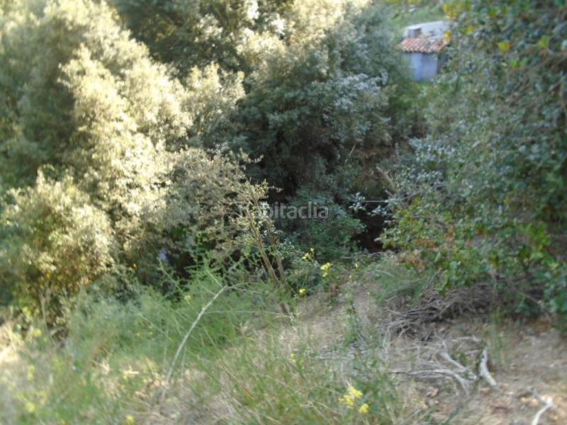 Foto 7334c1e8-7290-4f63-b202-8e991af1fedd. Finca rústica solvia inmobiliaria suelo urbano ametlla del vallès l en Ametlla del Vallès (L´)