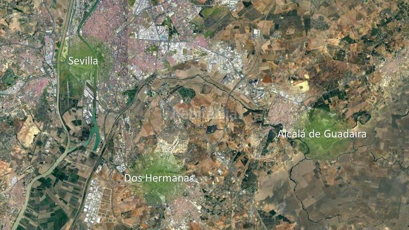 Foto 5f698dc1-5b65-4e53-bc4f-a346a6c1a906. Fondo rustico in Los Molinos Alcalá de Guadaira