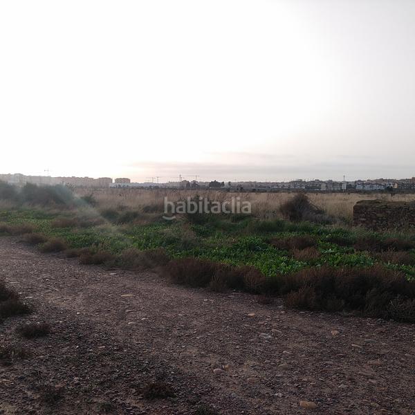 Foto 734c63cc-f053-4a88-80cb-77d6587a3582. Finca rústica solvia inmobiliaria suelo urbanizable o en Sagunt