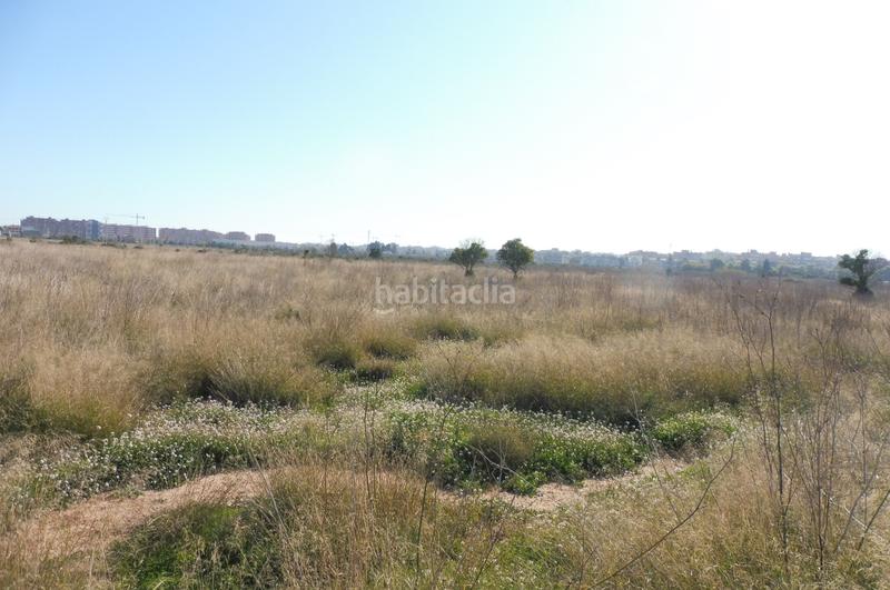 Foto 7ce2e79e-58e3-4a0e-aff2-25f4e66b85d1. Finca rústica solvia inmobiliaria suelo urbanizable o en Sagunt