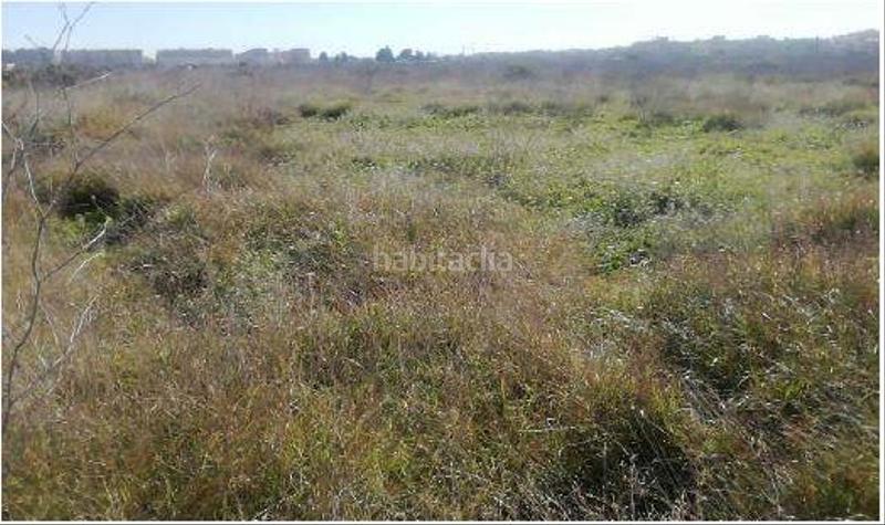 Foto fc32fec6-31bf-4eb2-a1e1-d221db5e4799. Finca rústica solvia inmobiliaria suelo urbanizable o en Sagunt