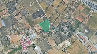 Finca rústica  Partida del roquis. Solvia inmobiliaria  suelo rústico riudoms