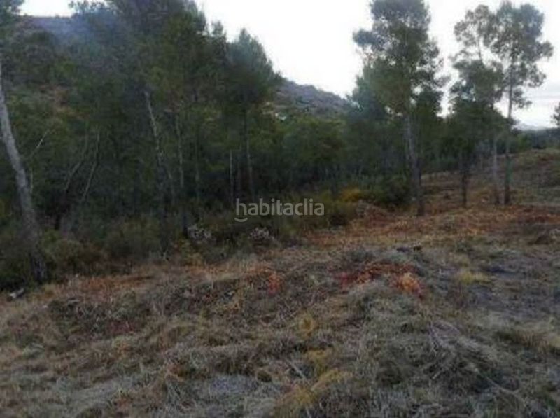 Foto b474215b-44e2-40ed-a689-0b58d1f25fce. Finca rústica a Torres Torres