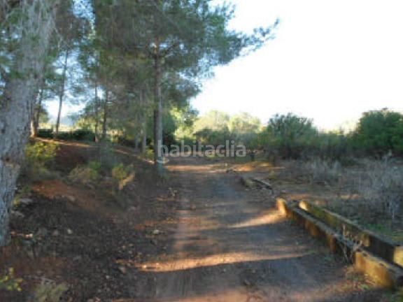 Foto c8a7d2e7-5edd-4edd-8070-38a7ff4e7b15. Finca rústica a Torres Torres