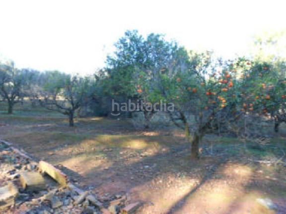Foto ed768a12-403b-4924-a84b-d6fdd3696bd9. Finca rústica a Torres Torres