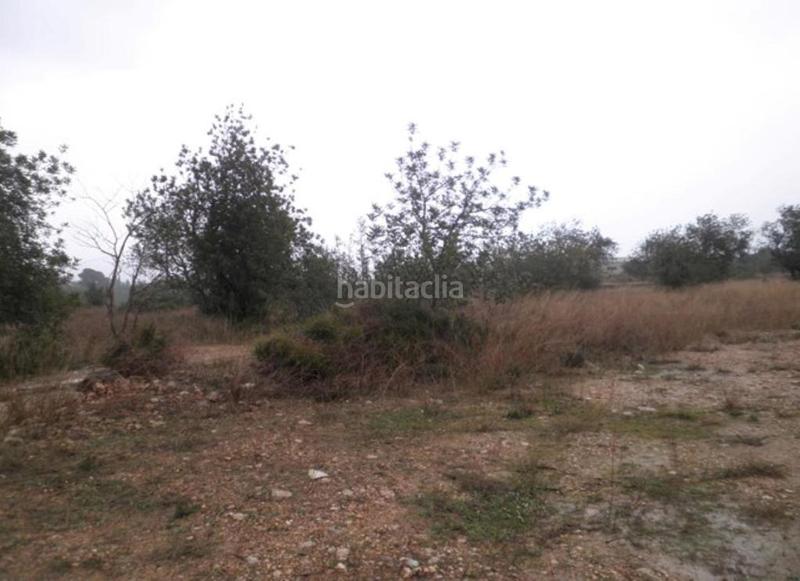 Foto 26a7bf1e-a469-4e80-91b9-4aa836106343. Finca rústica a Roquetes