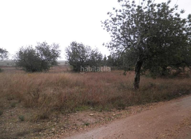 Foto 4bad72d4-270c-4c37-a49f-ef6af83cf621. Finca rústica a Roquetes