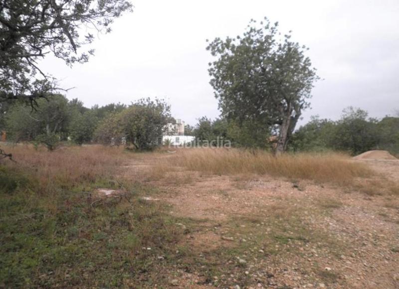 Foto 9ee28f5b-a1fe-402c-8154-1b8d5425f61e. Finca rústica a Roquetes