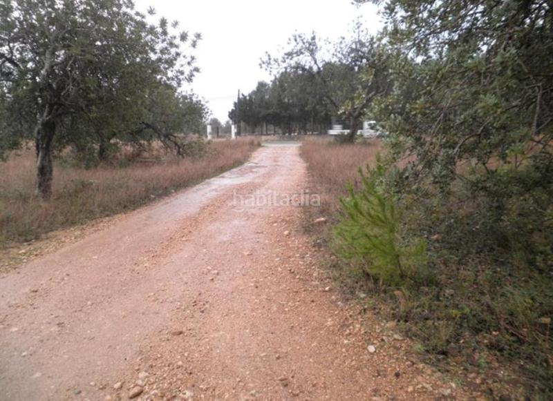 Foto ac551342-72d1-48dd-b1bc-55446fd86f25. Finca rústica a Roquetes