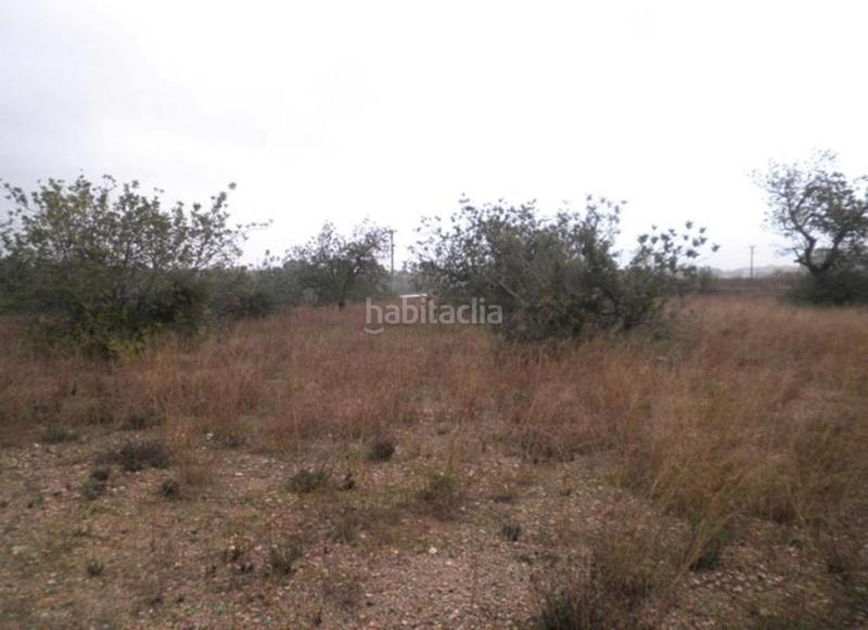 Foto c0cb046c-298d-4fb3-8fdd-6d7aabc4298f. Finca rústica a Roquetes