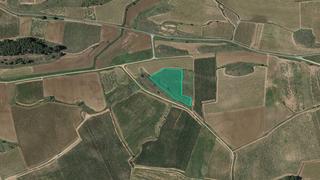 Finca rústica  Polígono 509 parcela 1039. Solvia inmobiliaria  suelo rústico azofra